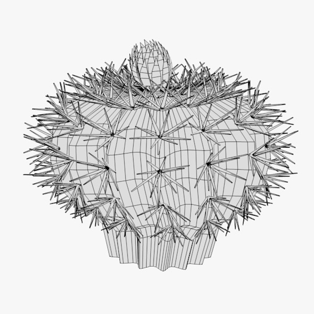 3d cactuses https://p.turbosquid.com/ts-thumb/Vx/KzVTo2/yErezJGp/cactus07w/jpg/1325864604/1920x1080/fit_q87/a077b5da6980aa6d1735330280bc60ee713ecec2/cactus07w.jpg