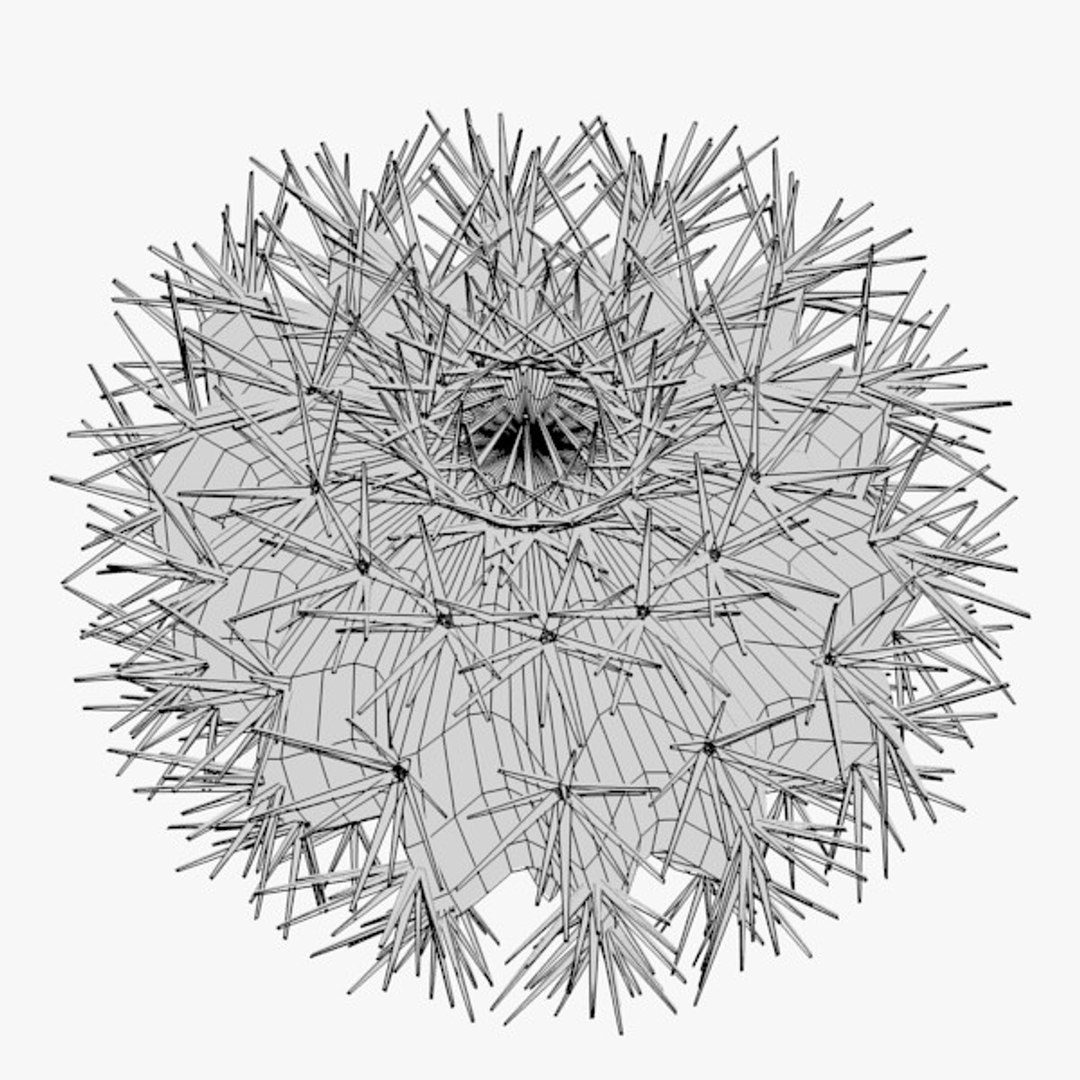 3d cactuses https://p.turbosquid.com/ts-thumb/Vx/KzVTo2/yVq60k9l/cactus02w2/jpg/1325864451/1920x1080/fit_q87/ebdd49b995a51b6a26d1fd12da6b6a7aa02f170f/cactus02w2.jpg