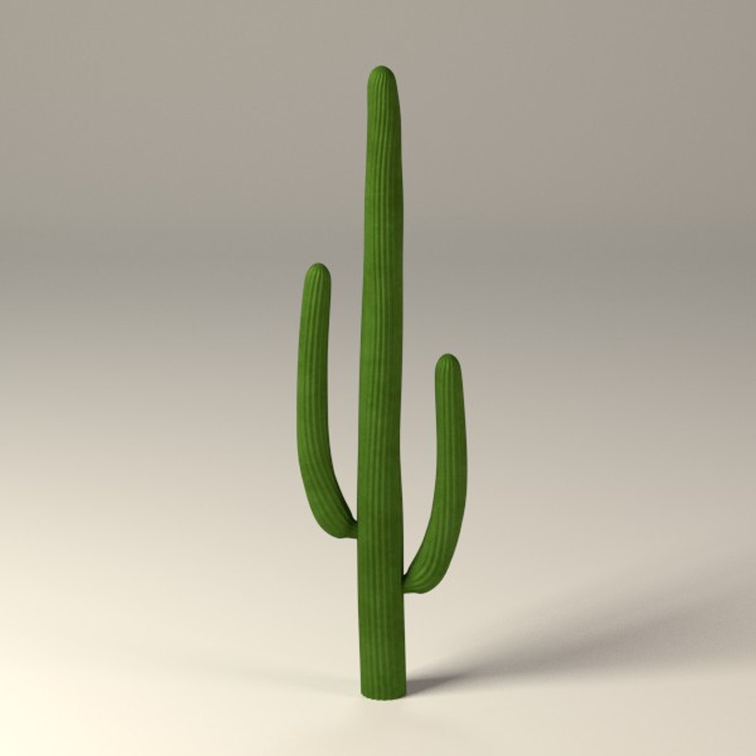3d cactuses https://p.turbosquid.com/ts-thumb/Vx/KzVTo2/zPw5agt8/cactus08/jpg/1325864632/1920x1080/fit_q87/9d2c11bb49d81cf3ac43b7a2ca42c2a5efa230fb/cactus08.jpg