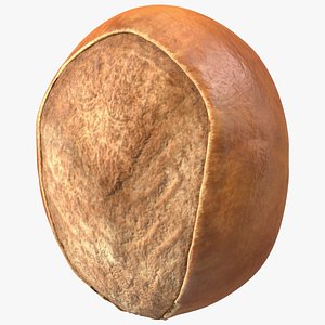 Shea Nut 3D model