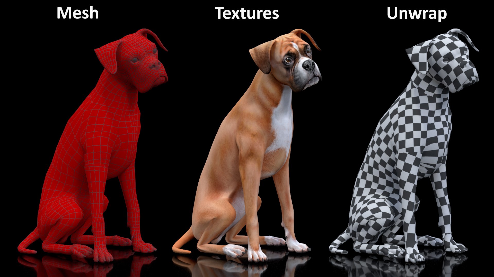 Sitting Dog Boxer 3D https://p.turbosquid.com/ts-thumb/Vx/RKHwWy/4G/sittingdogboxer3dsmodel017/jpg/1719995480/1920x1080/fit_q87/efd183a7de721724f86b937e83c1c2312fd50d4f/sittingdogboxer3dsmodel017.jpg