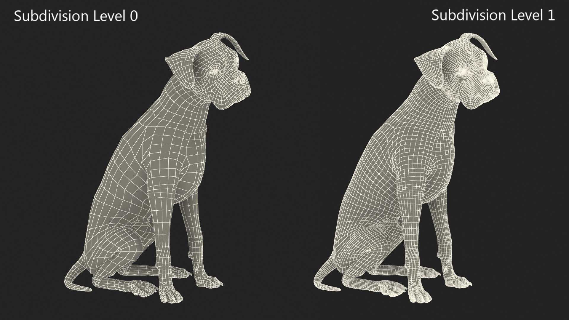 Sitting Dog Boxer 3D https://p.turbosquid.com/ts-thumb/Vx/RKHwWy/fG/sittingdogboxer3dsmodel018/jpg/1719995485/1920x1080/fit_q87/8ed7fbe2f5f0378492b1907f5457b7eeabe6b3ae/sittingdogboxer3dsmodel018.jpg