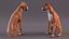 座っている犬ボクサー