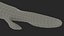 Tiktaalik Extinct Sarcopterygian