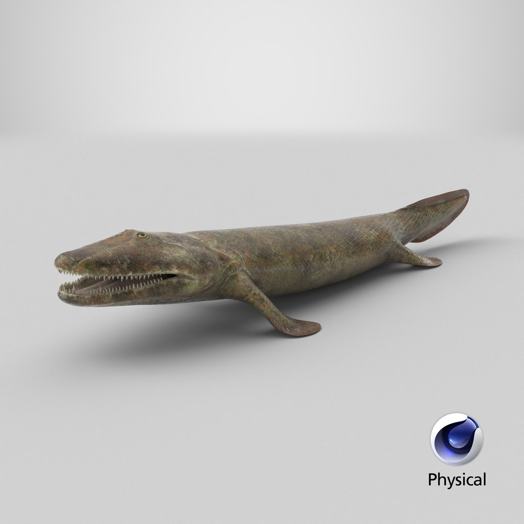 Tiktaalik Extinct Sarcopterygian 3D model https://p.turbosquid.com/ts-thumb/Vx/iAPY7H/9b/stemcell_cinema_4d_physical_render/png/1735134521/1920x1080/fit_q87/dc66d3890a7918a3729c042f520052854676ec1c/stemcell_cinema_4d_physical_render.jpg