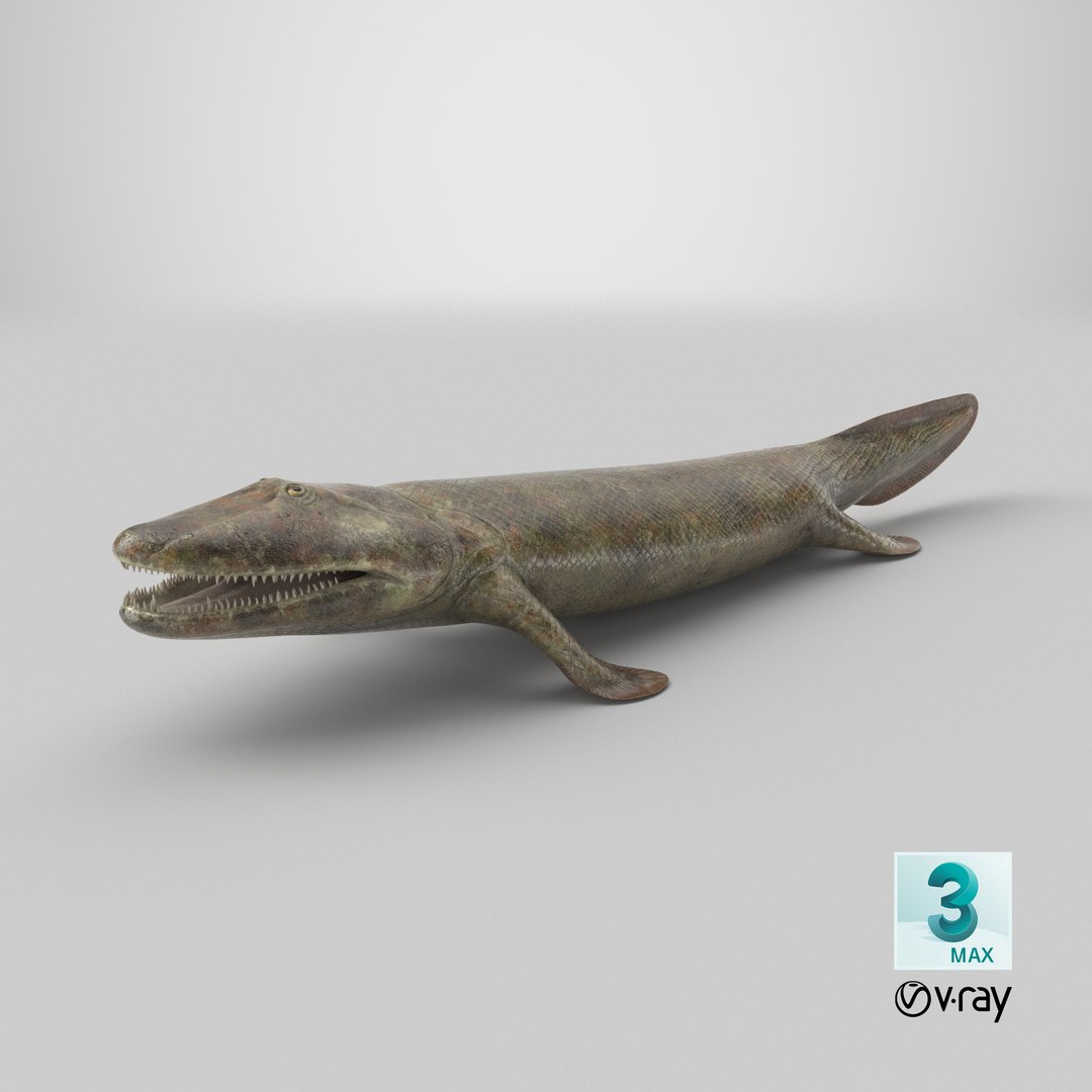 Tiktaalik Extinct Sarcopterygian 3D model https://p.turbosquid.com/ts-thumb/Vx/iAPY7H/EA/stemcell_max_vray_render/png/1735134523/1920x1080/fit_q87/396f7ad037431e77b0674faeff86190270525fe7/stemcell_max_vray_render.jpg
