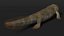 Tiktaalik Extinct Sarcopterygian