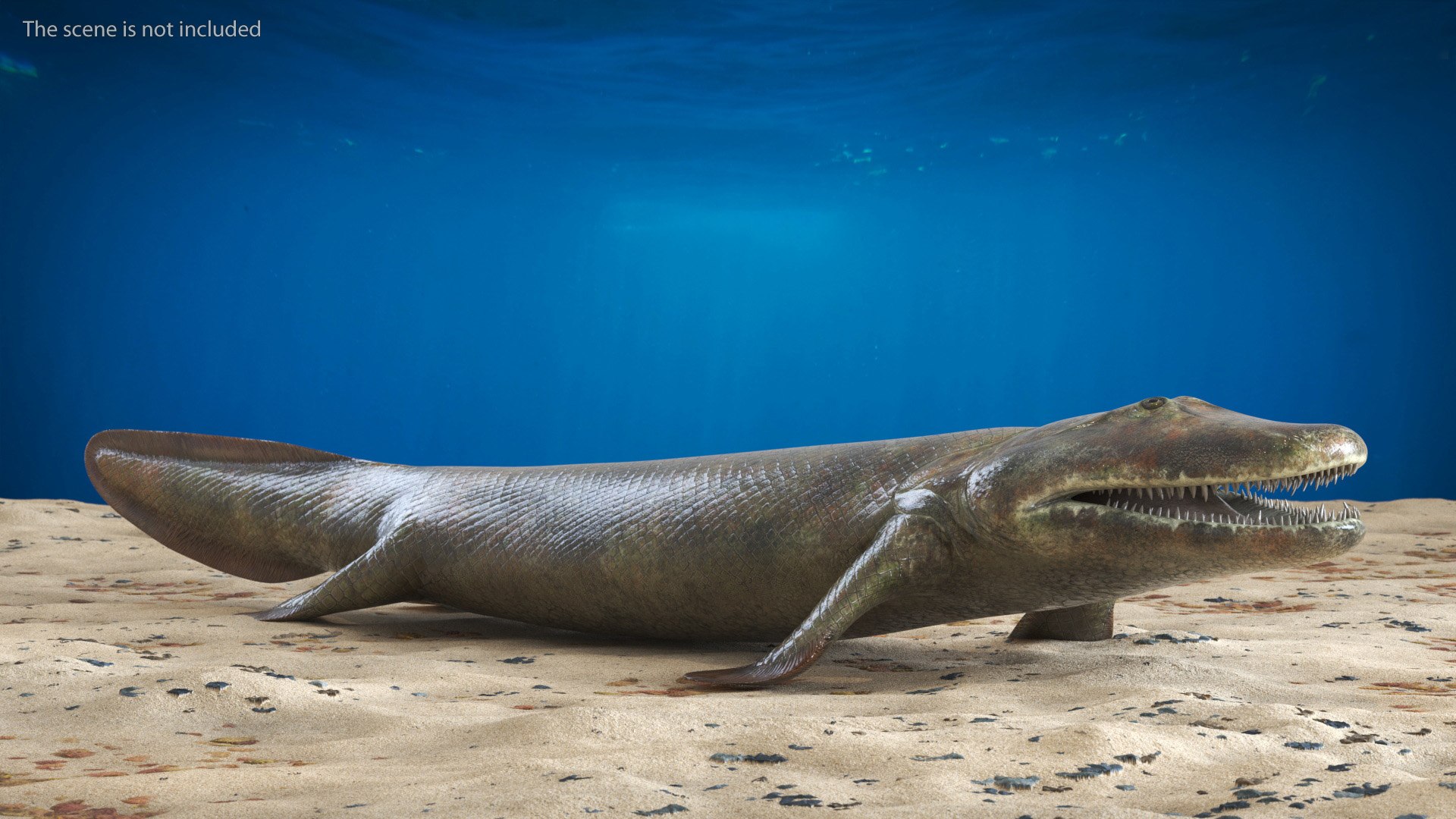 Tiktaalik Extinct Sarcopterygian 3D model https://p.turbosquid.com/ts-thumb/Vx/iAPY7H/MN/tiktaalik_extinct_sarcopterygian_003/jpg/1733118041/1920x1080/fit_q87/06820d966a5b199efccf80da983f04423ebe440c/tiktaalik_extinct_sarcopterygian_003.jpg