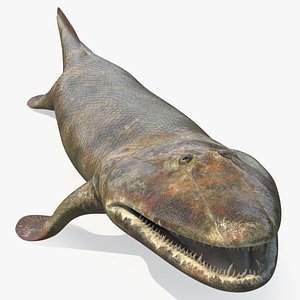 Tiktaalik Extinct Sarcopterygian 3D model