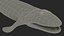 Tiktaalik Extinct Sarcopterygian