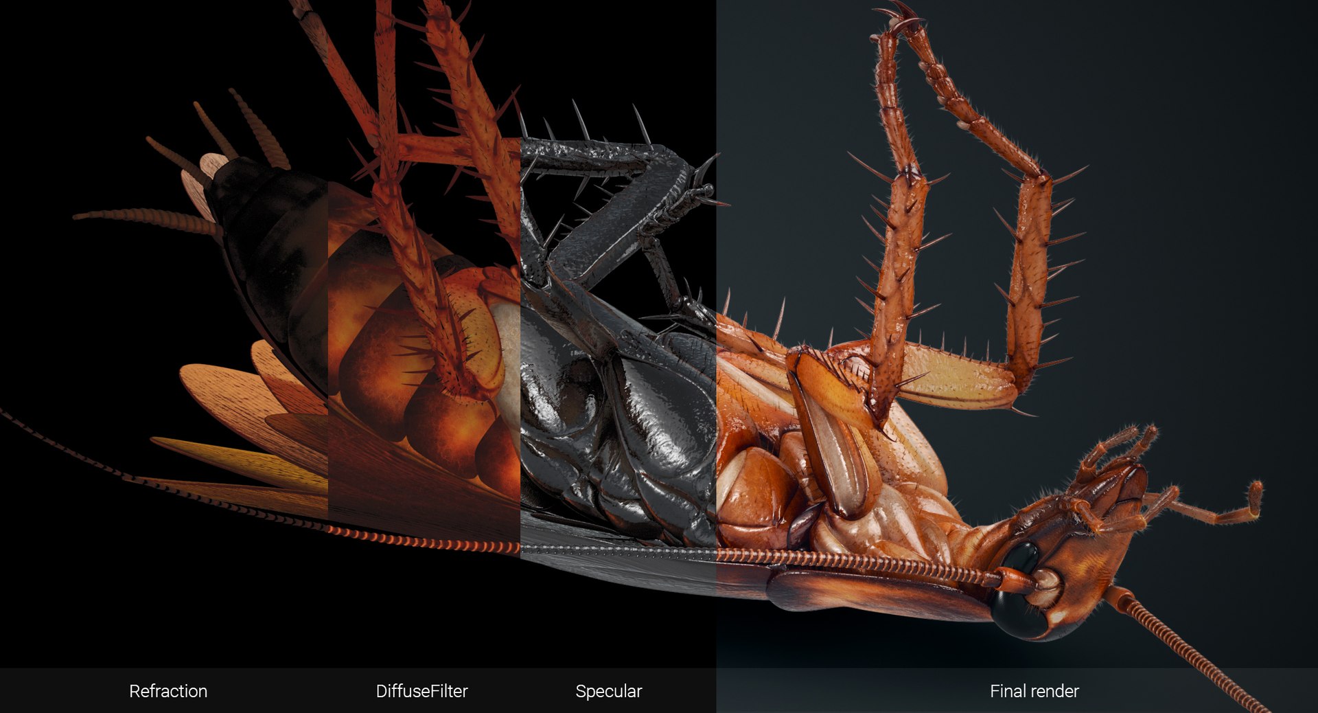 3D cockroach american animation https://p.turbosquid.com/ts-thumb/Vx/xZbP6W/0cyhljuH/cockroach_passes/jpg/1527410468/1920x1080/fit_q87/3ed3346a792807a7dbb4261766dfd63757d1a311/cockroach_passes.jpg
