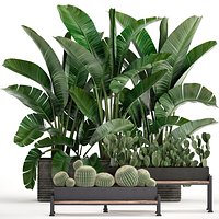Decorative plants in flower pots for the interior 458