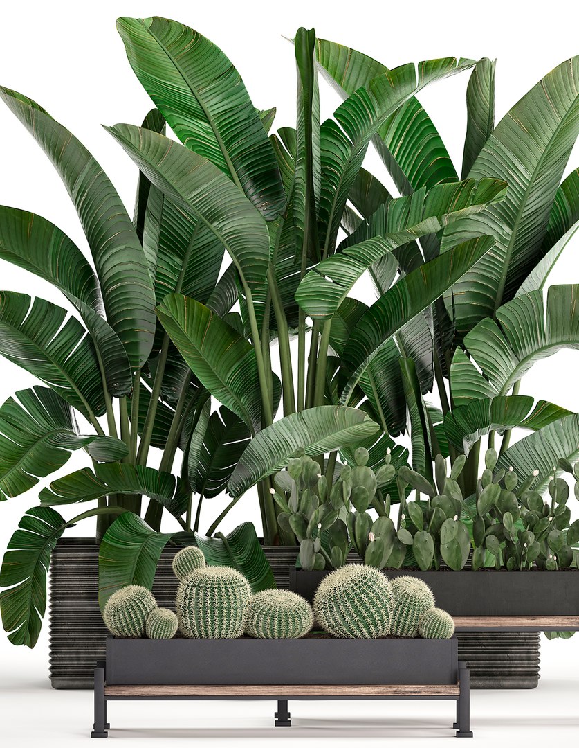 3D houseplants plants potted https://p.turbosquid.com/ts-thumb/Vy/08L0z9/L0HMgiub/plantset1503202004/jpg/1584358606/1920x1080/fit_q87/d11d3c719bf5729384f5fa216a7a8a50d24b79db/plantset1503202004.jpg