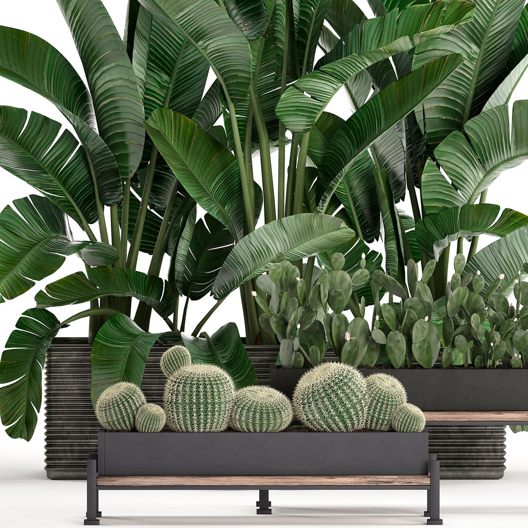 3D houseplants plants potted https://p.turbosquid.com/ts-thumb/Vy/08L0z9/PBZSkbGu/plantset1503202001/jpg/1584358606/1920x1080/fit_q87/b5203180e9380febbfcce21a7212b6b9dbf51e4e/plantset1503202001.jpg