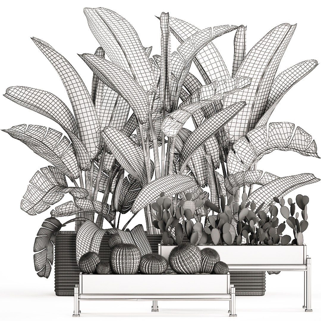 3D houseplants plants potted https://p.turbosquid.com/ts-thumb/Vy/08L0z9/kUSvnOj9/plantset1503202009/jpg/1584358606/1920x1080/fit_q87/0f59a59719e1df1a94ab8620cedf69cbd4c939e0/plantset1503202009.jpg