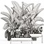 Decorative plants in flower pots for the interior 458