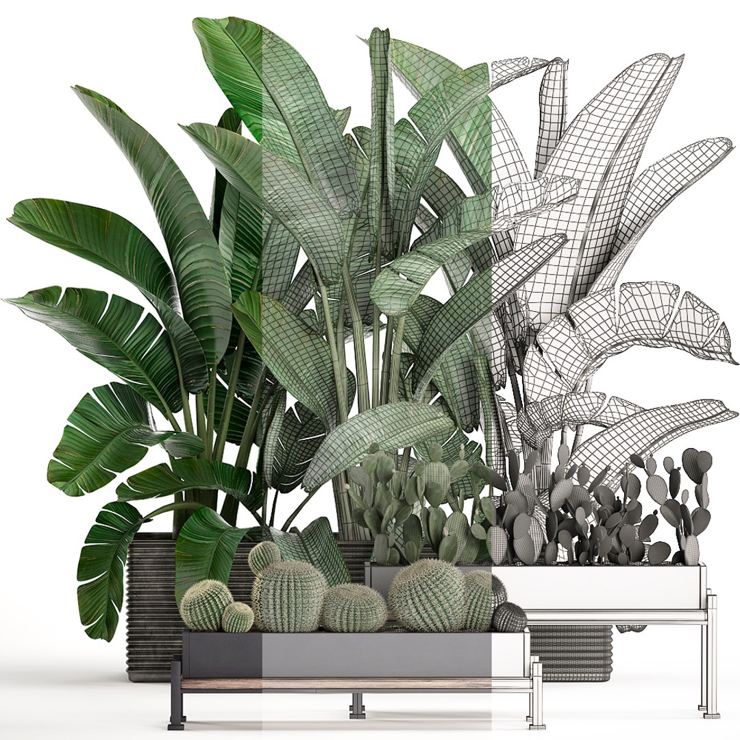 3D houseplants plants potted https://p.turbosquid.com/ts-thumb/Vy/08L0z9/lOsilaTN/plantset1503202007/jpg/1584358606/1920x1080/fit_q87/615024948d7167cb8cbafa411163a4aee0f22c5e/plantset1503202007.jpg