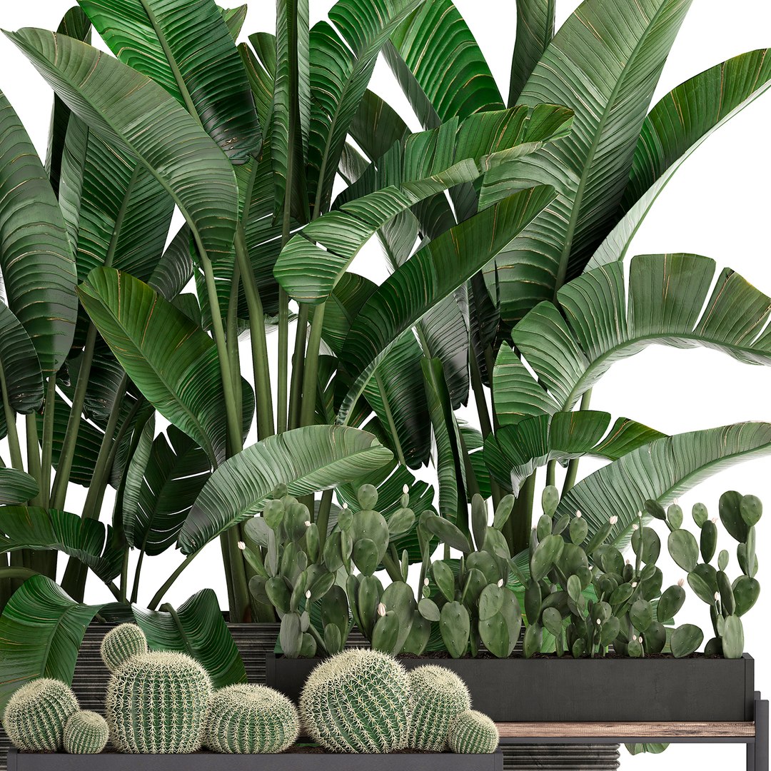 3D houseplants plants potted https://p.turbosquid.com/ts-thumb/Vy/08L0z9/myJX2TF4/plantset1503202002/jpg/1584358606/1920x1080/fit_q87/9bd21daa010a904593ae20375542d0337c3e1ab8/plantset1503202002.jpg