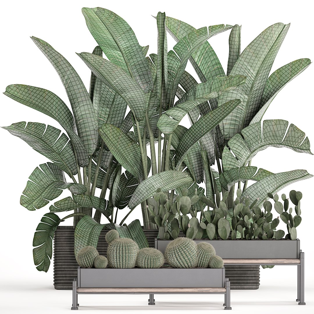 3D houseplants plants potted https://p.turbosquid.com/ts-thumb/Vy/08L0z9/qCsZUuEd/plantset1503202008/jpg/1584358606/1920x1080/fit_q87/285fd3edf1fd84daf965d8ec7e6d675bd45d1227/plantset1503202008.jpg
