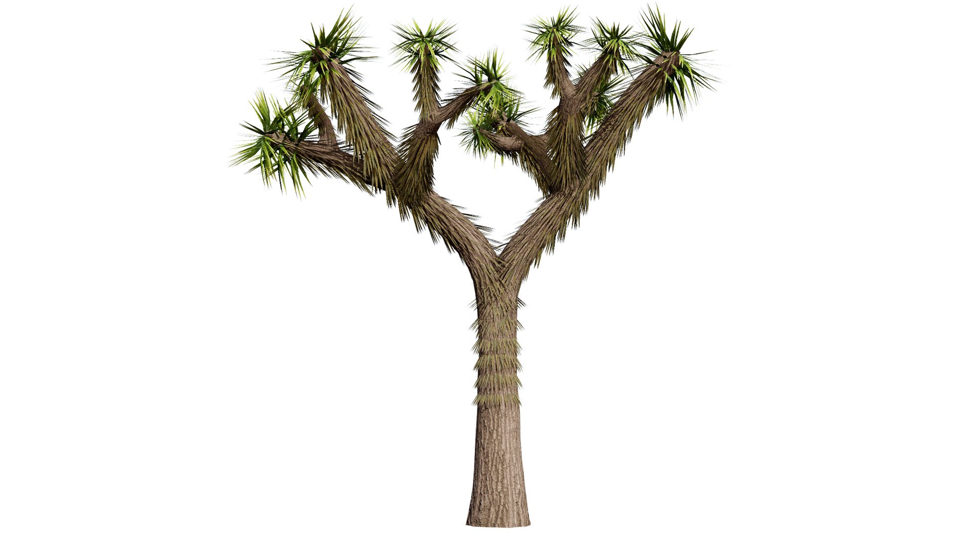 Realistic Joshua Trees Pack 3D https://p.turbosquid.com/ts-thumb/Vy/4ea0RS/9U/1l/jpg/1736117946/1920x1080/fit_q87/faf3b3392f07d9823d8aae6c07818fbc32fecedd/1l.jpg