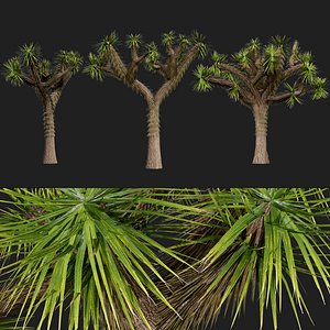 Realistic Joshua Trees Pack 3D