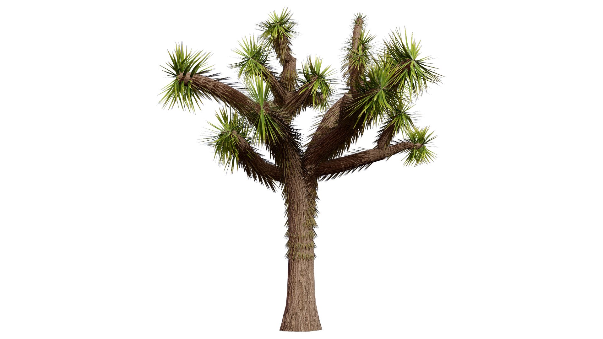 Realistic Joshua Trees Pack 3D https://p.turbosquid.com/ts-thumb/Vy/4ea0RS/ba/203l/jpg/1736117952/1920x1080/fit_q87/58a93c4aa65d90b651ccadf7aa4b91b01681a69c/203l.jpg