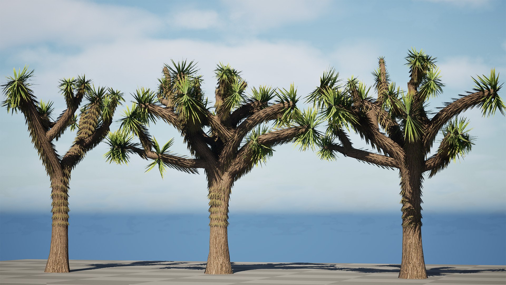 Realistic Joshua Trees Pack 3D https://p.turbosquid.com/ts-thumb/Vy/4ea0RS/sA/highresscreenshot00001/jpg/1736117969/1920x1080/fit_q87/23277c6cf75f399fce2ed689e6929bd3d6f1f011/highresscreenshot00001.jpg
