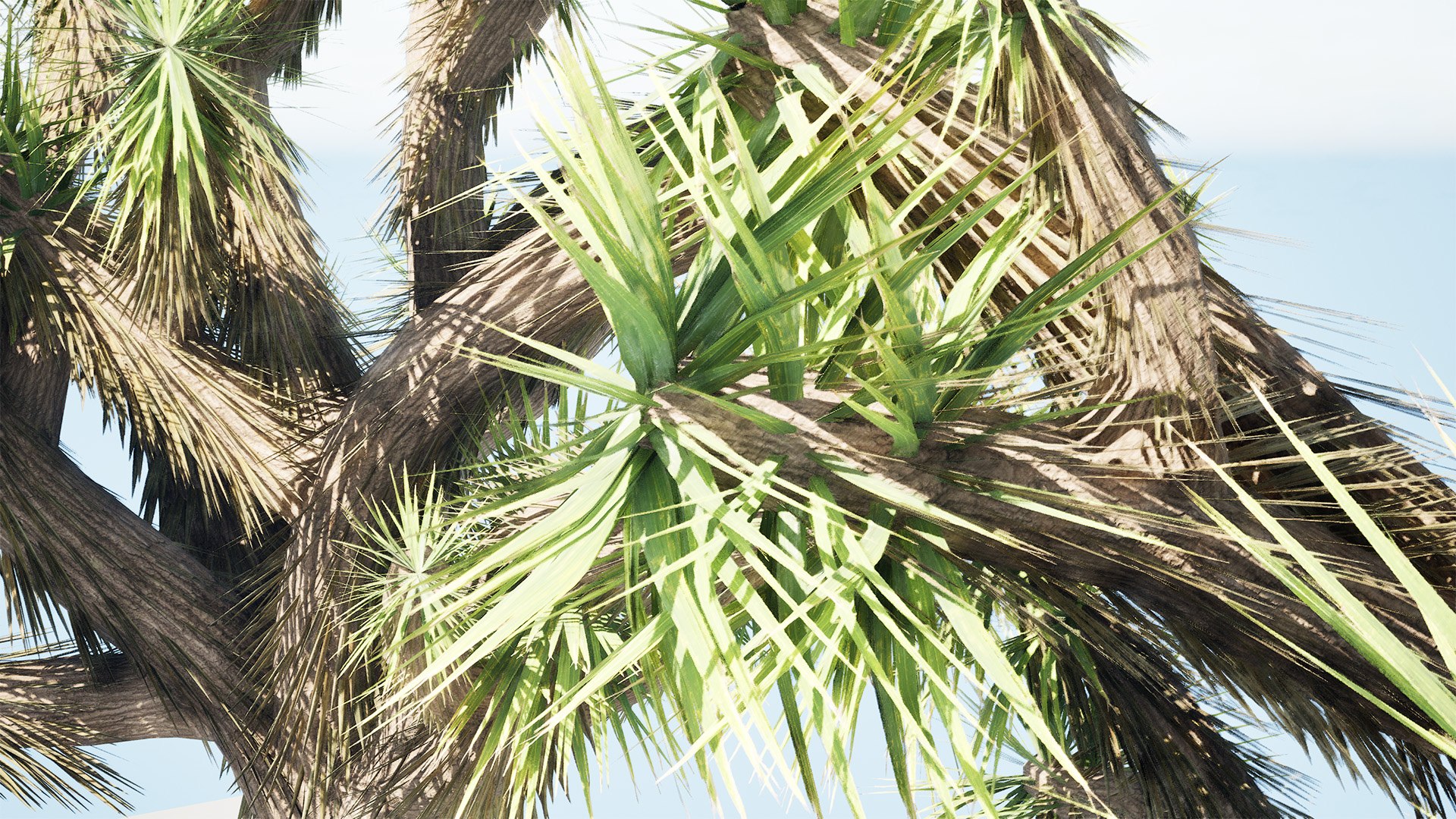 Realistic Joshua Trees Pack 3D - TurboSquid 2335289