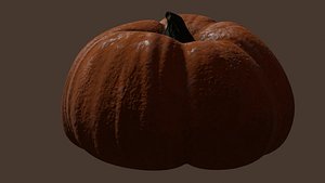 Pumpkin model