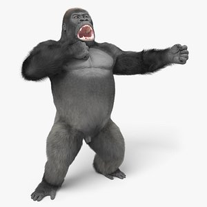 Gorilla Rage Stand and Chest Beat Fur Animated Rigged For Blender