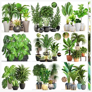 3D Collection of plants 35 pieces B