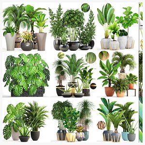 Collection of plants 35 pieces B