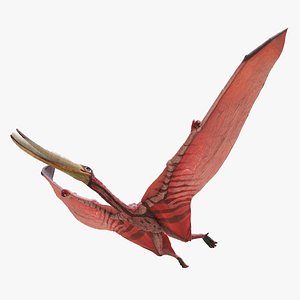 Pterodaustro Animated