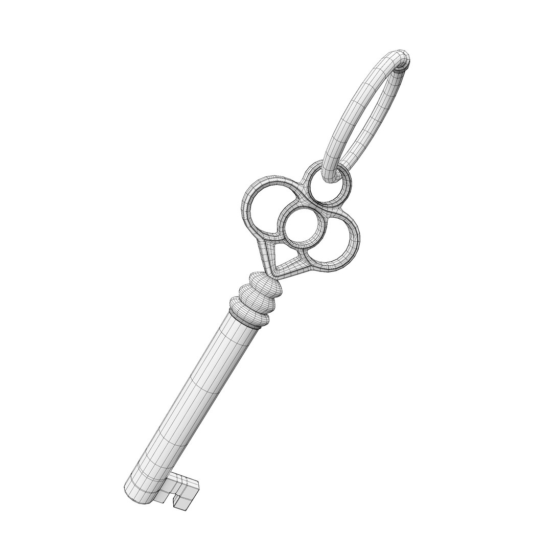 3D Rusty Skeleton Key Model - TurboSquid 1977280