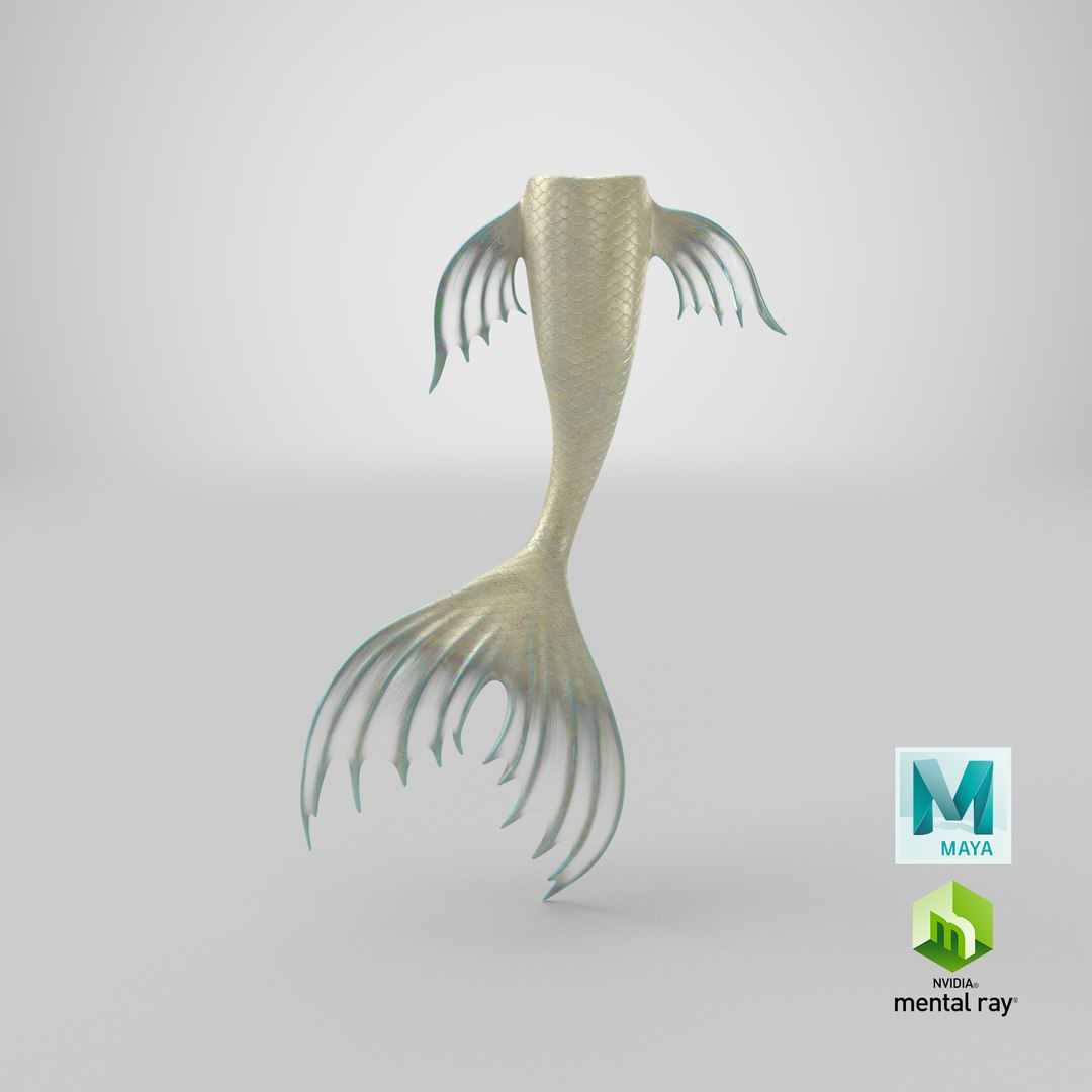 mermaid tail 03 straight 3D model https://p.turbosquid.com/ts-thumb/Vy/I0EJbQ/HftSlQD5/render.0001/png/1522879719/1920x1080/fit_q87/3dfbb3af8501ab6098490c661e41711b1896fb85/render.0001.jpg
