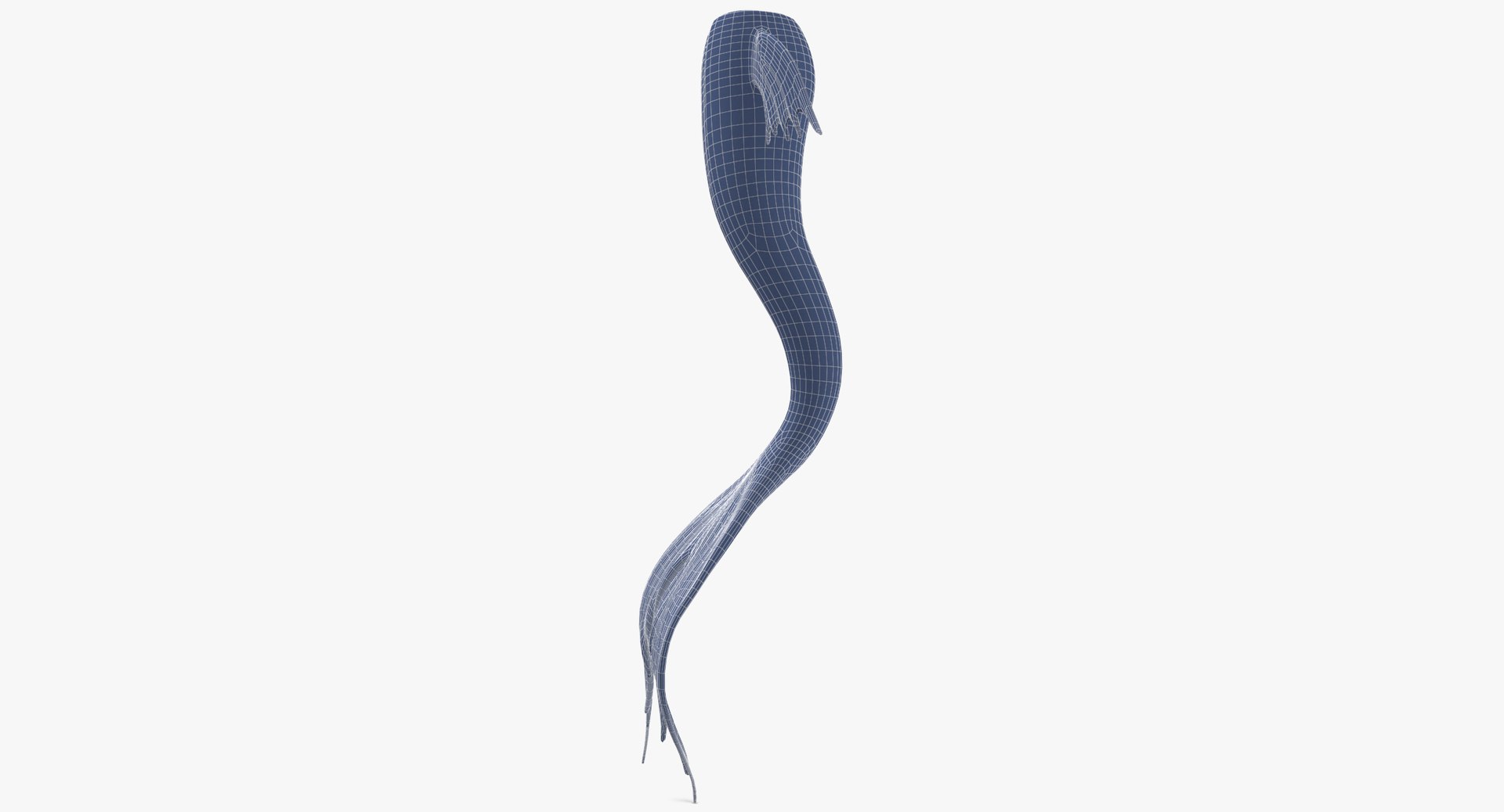 mermaid tail 03 straight 3D model https://p.turbosquid.com/ts-thumb/Vy/I0EJbQ/d56FUcIJ/mermaid_tail_03_straight_wireframe_0004/jpg/1518010852/1920x1080/fit_q87/5ba27e235aca499e8f680e2a9573799fc8546a75/mermaid_tail_03_straight_wireframe_0004.jpg
