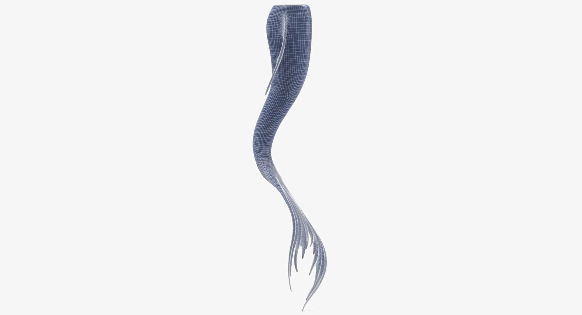 mermaid tail 03 straight 3D model https://p.turbosquid.com/ts-thumb/Vy/I0EJbQ/nDNdoYaf/mermaid_tail_03_straight_wireframe_01_0005/jpg/1518010852/1920x1080/fit_q87/f3967386af4d707b854b0946c8cae8648c6babf7/mermaid_tail_03_straight_wireframe_01_0005.jpg