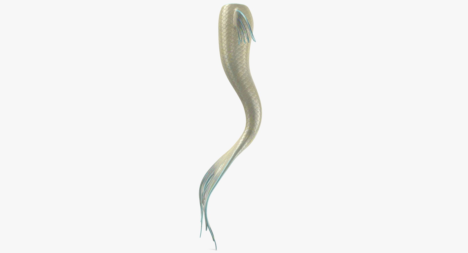 mermaid tail 03 straight 3D model https://p.turbosquid.com/ts-thumb/Vy/I0EJbQ/thnJ62hJ/mermaid_tail_03_straight_thumbnail_0004/jpg/1518010851/1920x1080/fit_q87/4f61b39f9b4525c5a25cb7fdd7dfec03fd472514/mermaid_tail_03_straight_thumbnail_0004.jpg