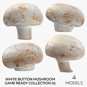 White Button Mushroom Game Ready Collection 01 - 4 models 3D model