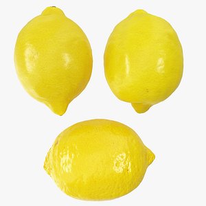 02-04 hi polys lemon 3D model