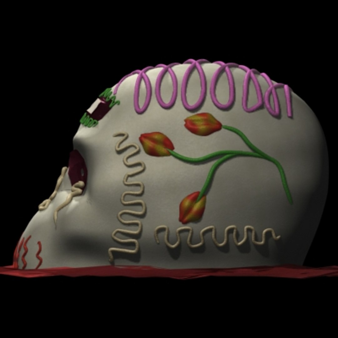 3d model of calaverita candy https://p.turbosquid.com/ts-thumb/Vy/OphGUr/A7xatE6i/calaverita_06/jpg/1157678543/1920x1080/fit_q87/3f48d85c467eae4bae5befe55a397fa40a61e95d/calaverita_06.jpg