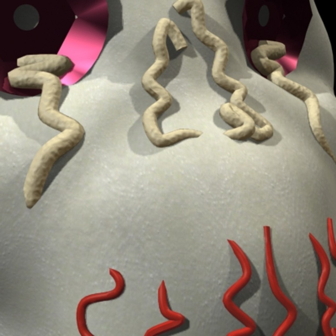 3d model of calaverita candy https://p.turbosquid.com/ts-thumb/Vy/OphGUr/CHWlI6OM/calaverita_09/jpg/1158795840/1920x1080/fit_q87/f92ca140b2b0fcb94ae9f6ecea552c97a3a53989/calaverita_09.jpg