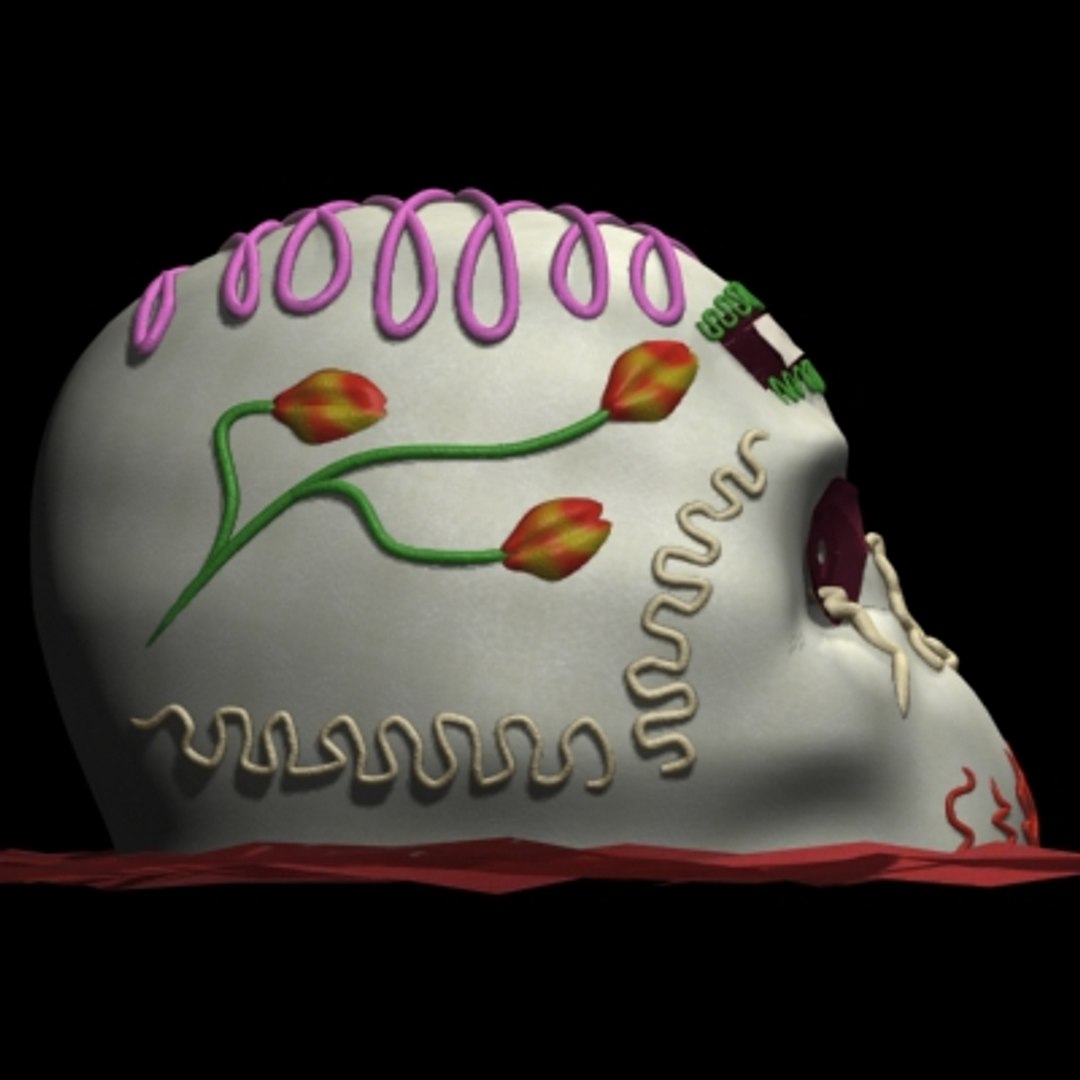 3d model of calaverita candy https://p.turbosquid.com/ts-thumb/Vy/OphGUr/SFmWMzKr/calaverita_05/jpg/1157678534/1920x1080/fit_q87/220976e93f9d08b50285643233348d551611d71d/calaverita_05.jpg