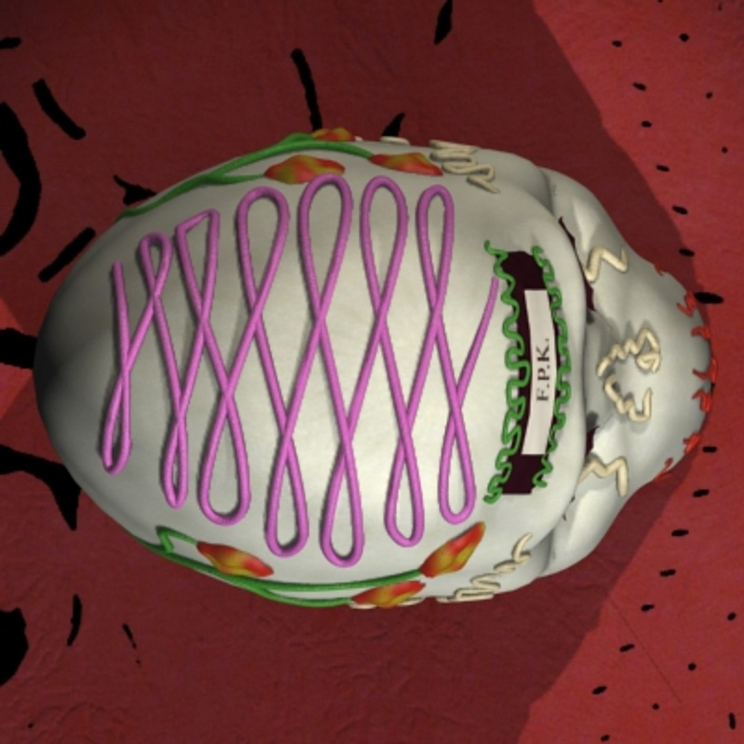 3d model of calaverita candy https://p.turbosquid.com/ts-thumb/Vy/OphGUr/wh4PspHK/calaverita_07/jpg/1157678548/1920x1080/fit_q87/879dba285a1dcdddc8b5be736c178190028abaca/calaverita_07.jpg