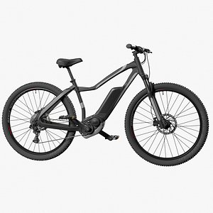 Electric Bike(1)