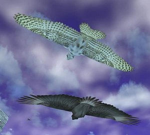flying bird 3d 3ds