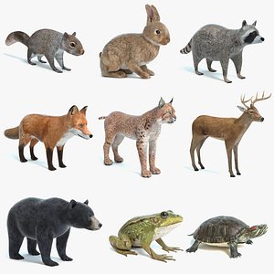 3D animals 4