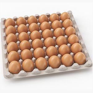 Egg Carton 3D Model
