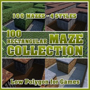 3d model 100 rectangular maze