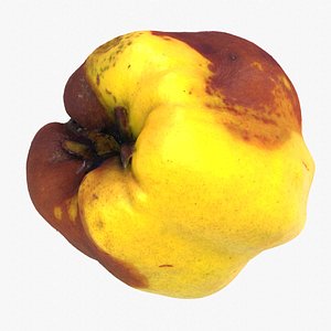 Quince fruit 07 high-poly 3D model 3D model